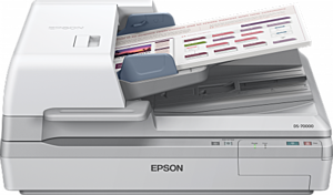 ANG ang Aneka Global Niaga - Epson WorkForce DS-70000 A3 Flatbed Document Scanner with Duplex ADF
